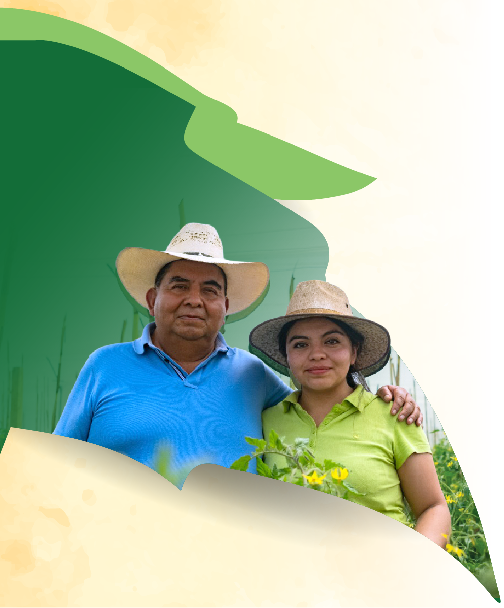 Tierras de Vida